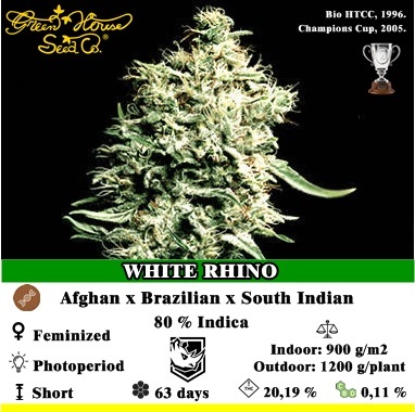 White Rhino