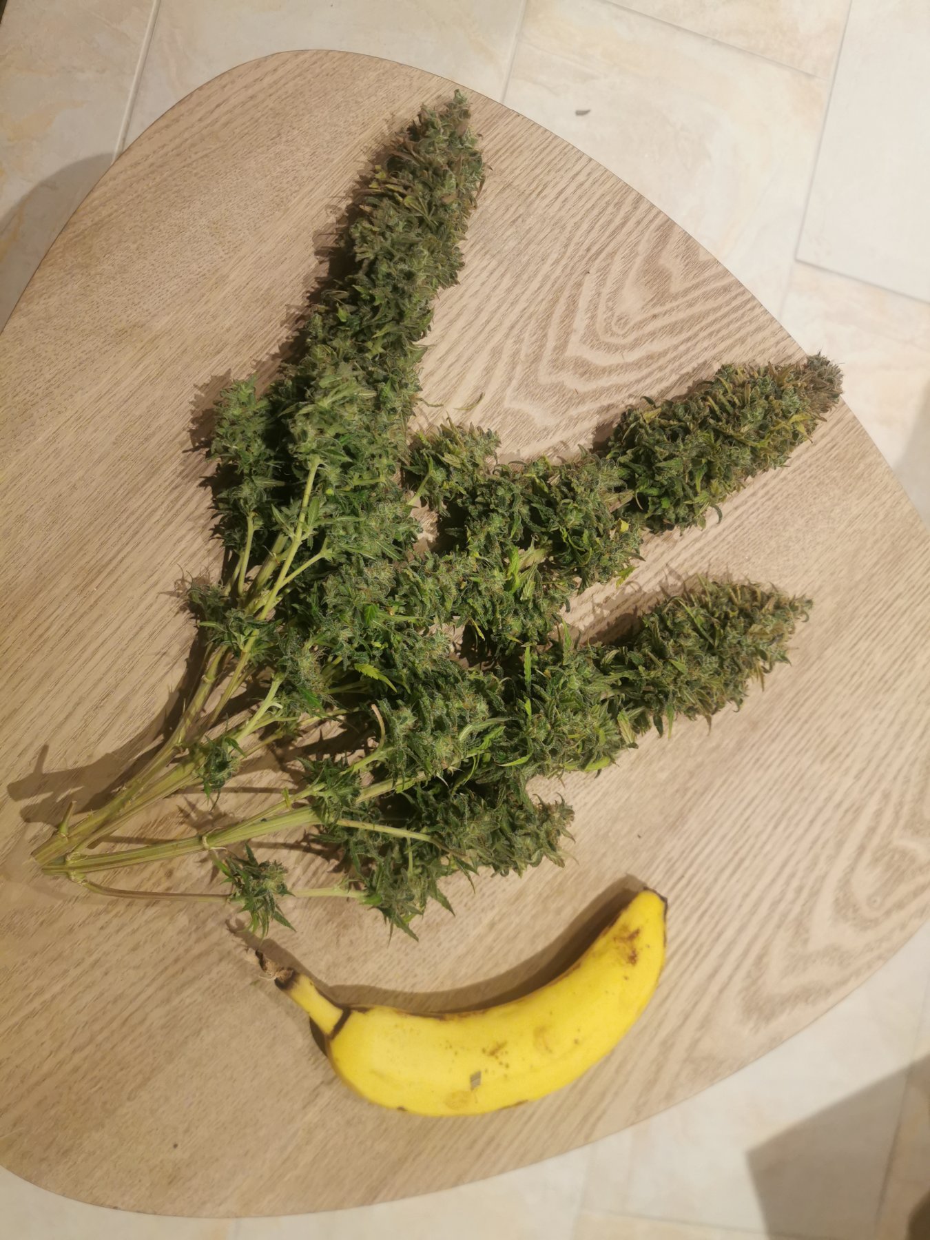 IMG_20210323_210504