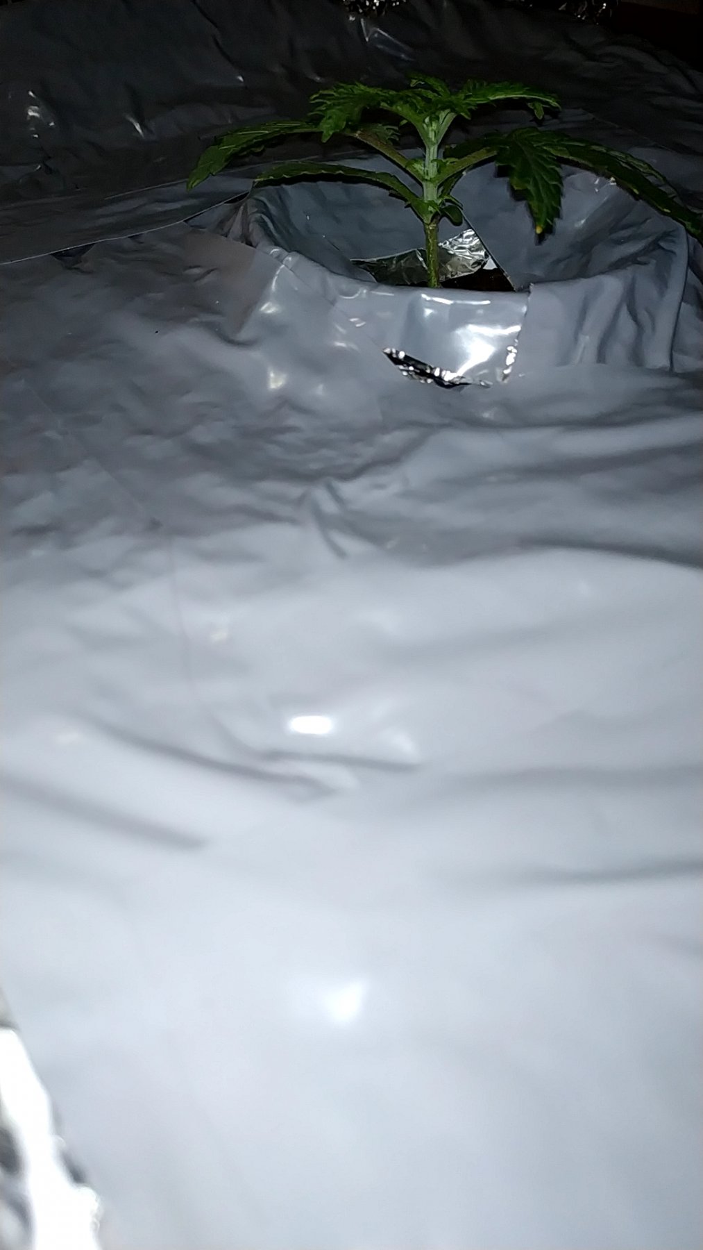 20210510_230356657
