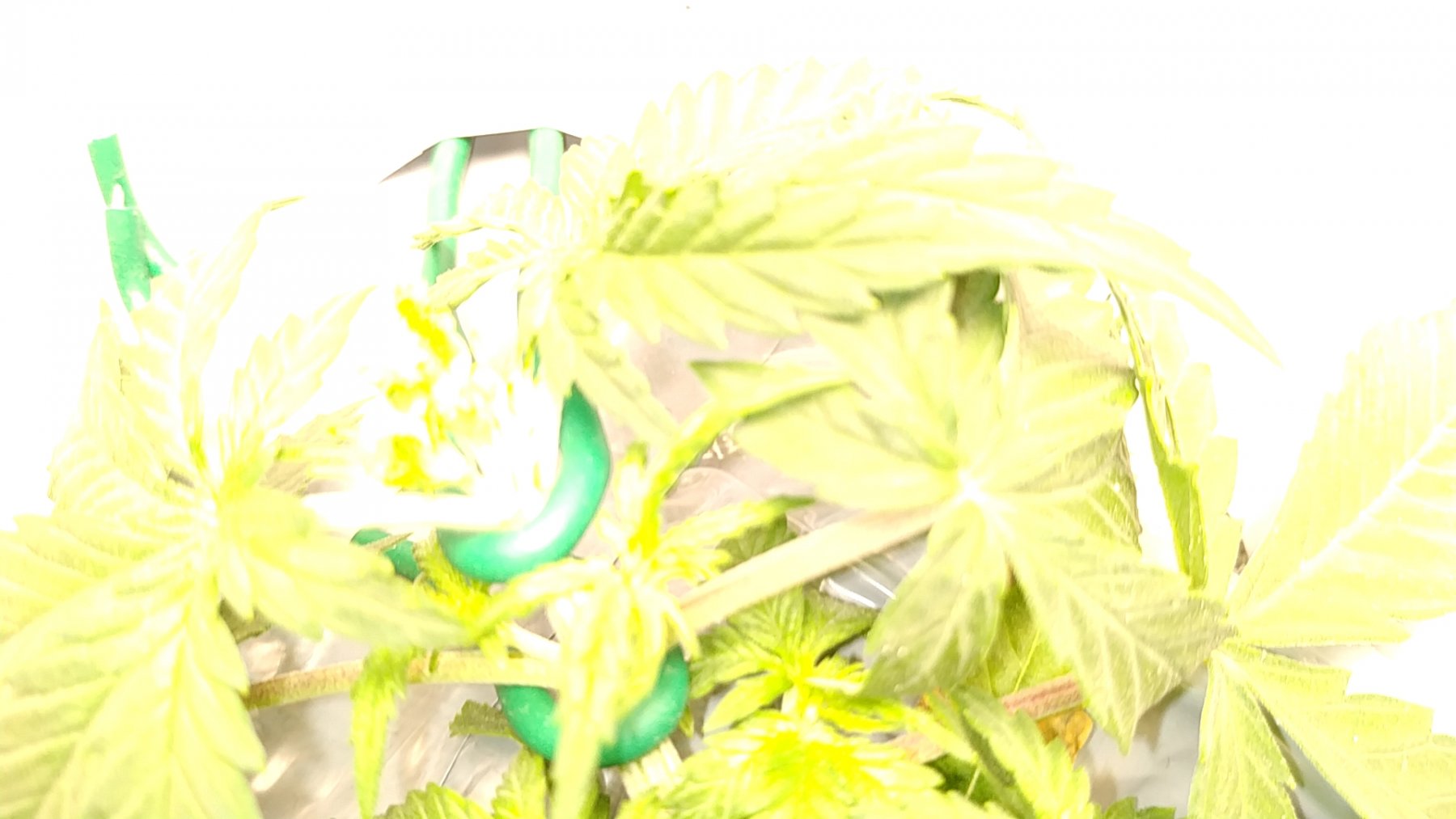 20210517_091051498