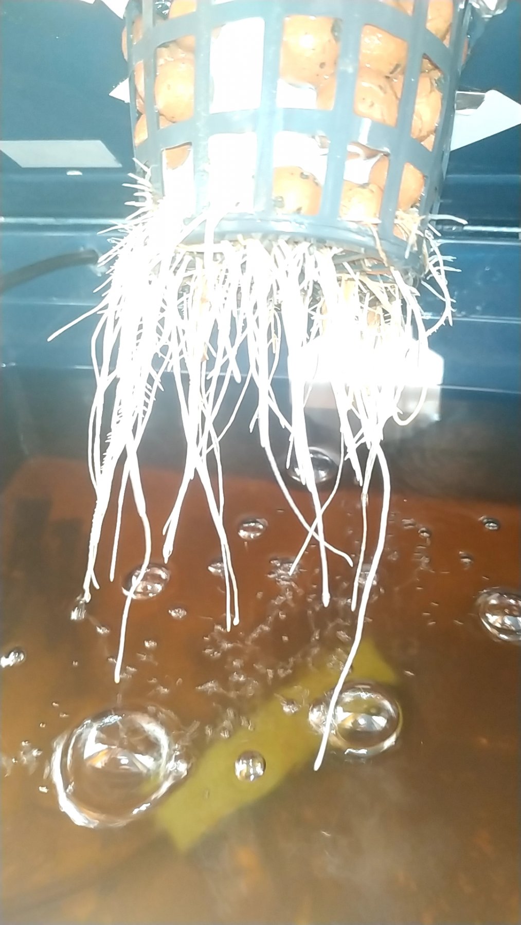 20210525_090119891