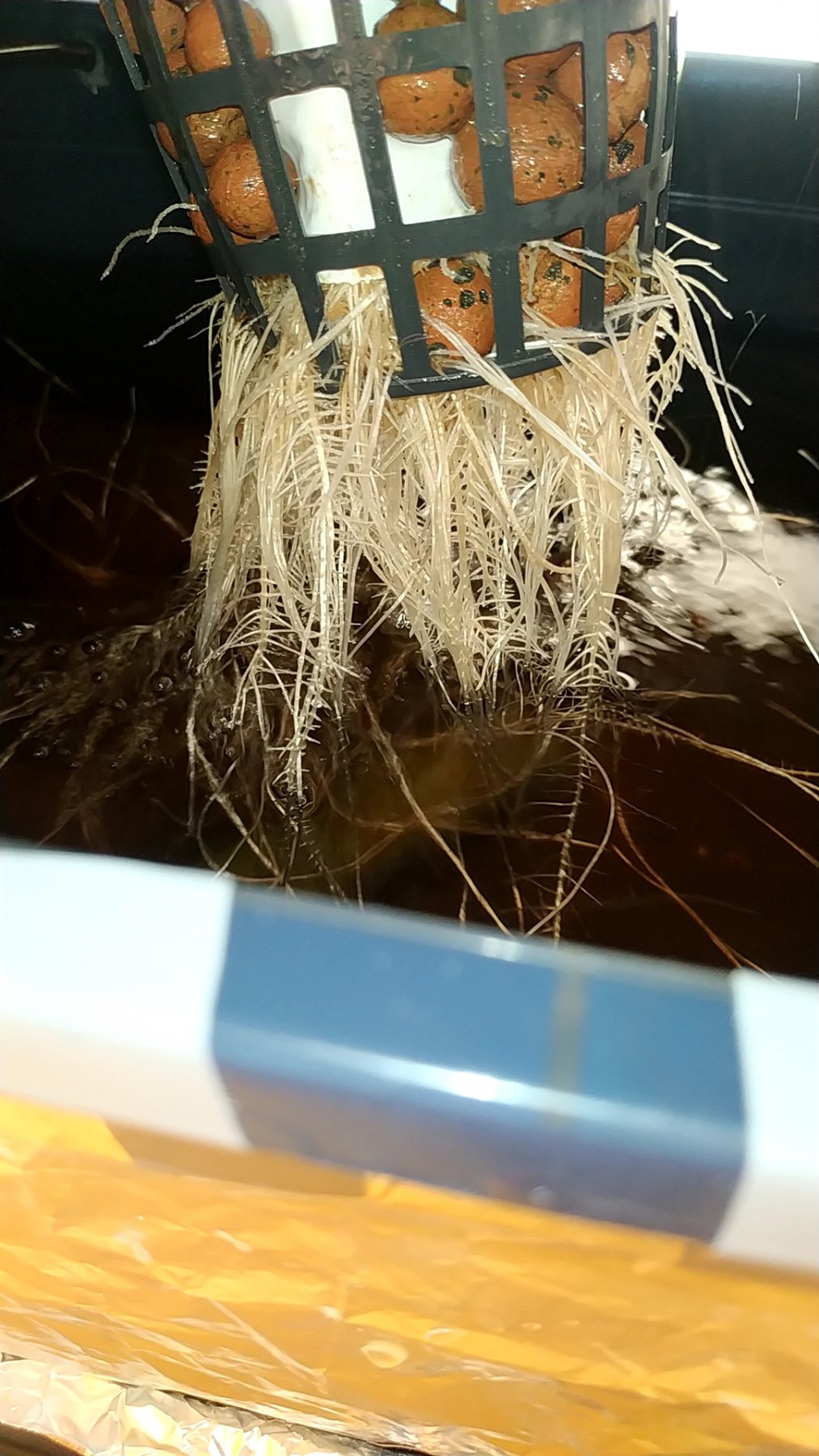 20210527_211031221