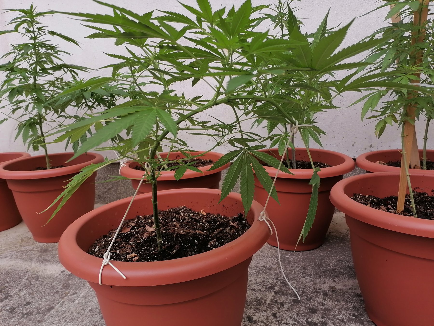IMG_20210804_104559